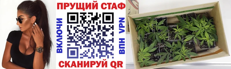Купить закладку Амфетамин  Каннабис  Меф мяу мяу  ГАШИШ  Цоци-Юрт