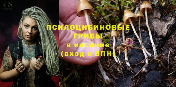 mdpv Белокуриха