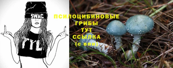 mdpv Белокуриха